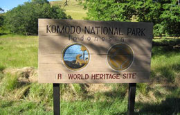 Komodo Board Komodo Board