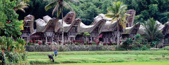 Sulawesi Sulawesi